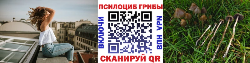 ссылка на мегу ТОР  Краснослободск  Галлюциногенные грибы Cubensis 